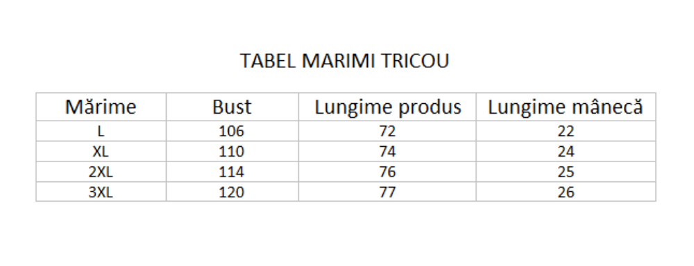 Imagine Tricou bleumarin cu dungi grena P1199511S-2