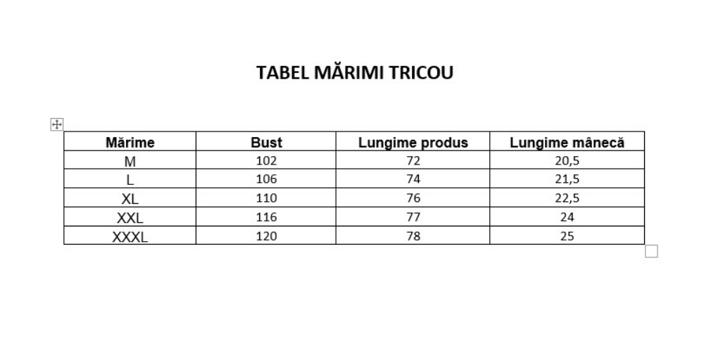 Imagine Tricou grena cu dungi albe si bleumarin 2035-1