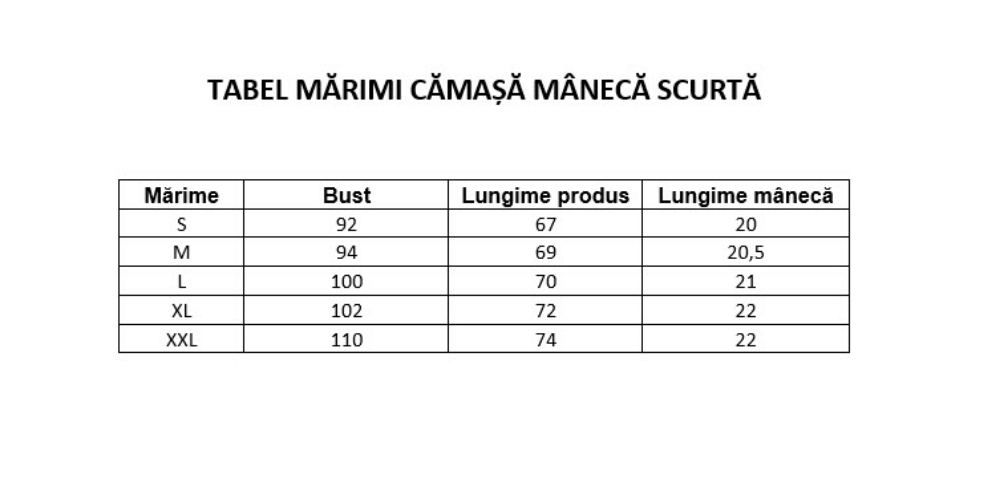 Imagine Camasa gri cu guler tunica 3327-2