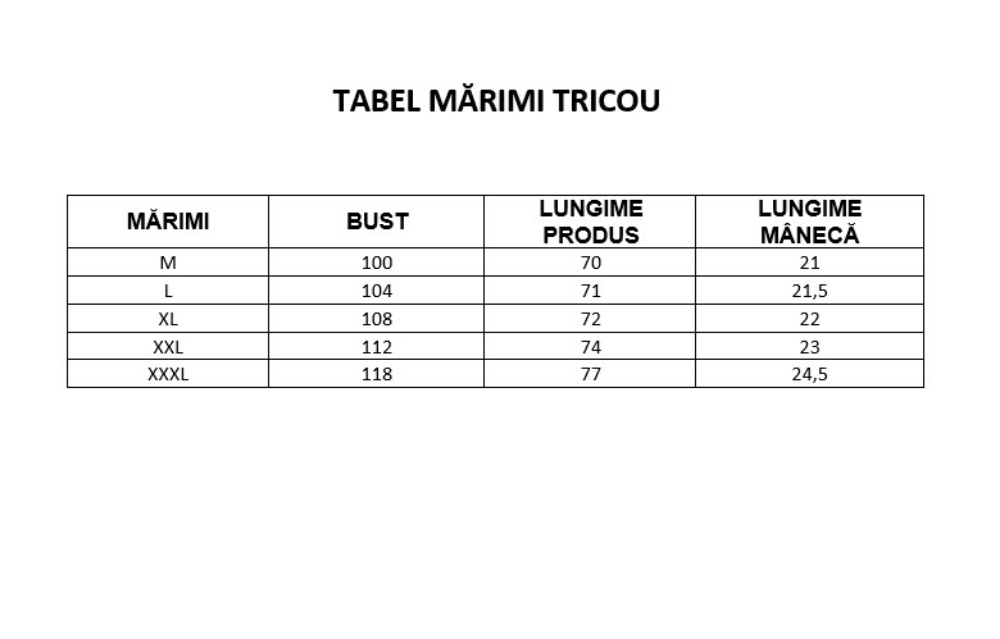 Imagine Tricou turcoaz cu dungi verzi si albe JP 36-3