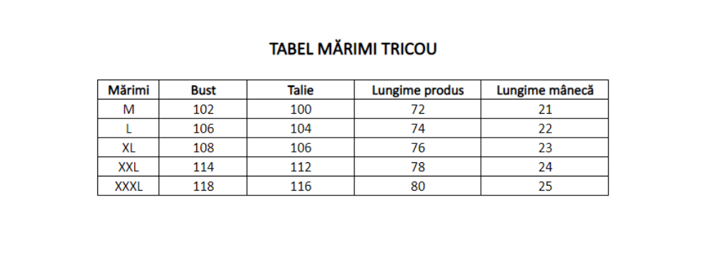 Imagine Tricou albastru cu dungi albe, gri si bleumarin 0240-2