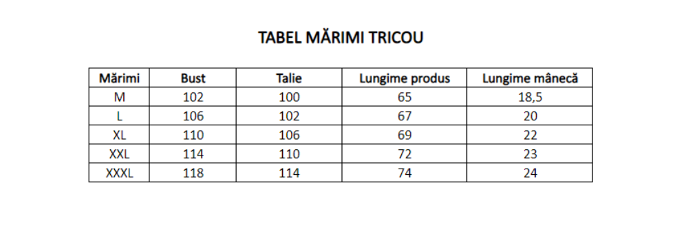 Imagine Tricou albastru 1118-6