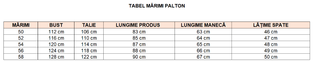 Imagine Palton negru cu carouri 2216-2