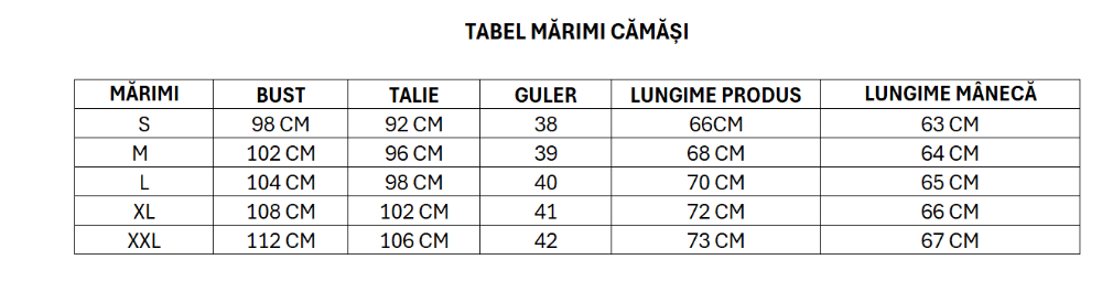 Imagine Camasa slim bleu 0047-4725