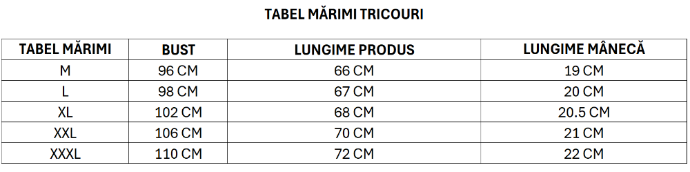 Imagine Tricou negru cu dungi gri 19830-1
