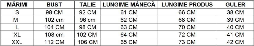 Imagine Camasa slim cu maneca lunga X2119-2