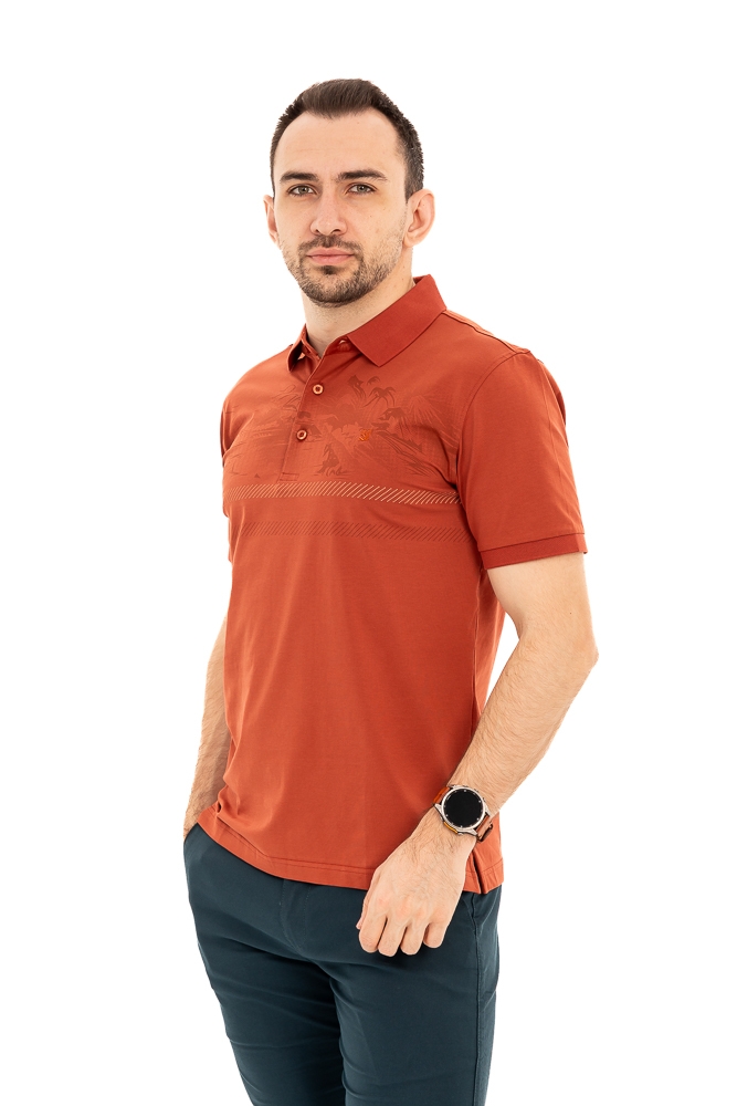 Imagine Tricou caramiziu P26017S