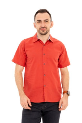 Imagine Camasa casual cu maneca scurta 303-29